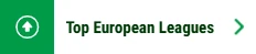 Top European Leagues